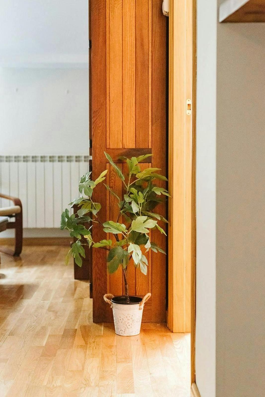 Casa Begona - Wifi Sencillo Y Acogedor Daire Sallent de Gállego Dış mekan fotoğraf