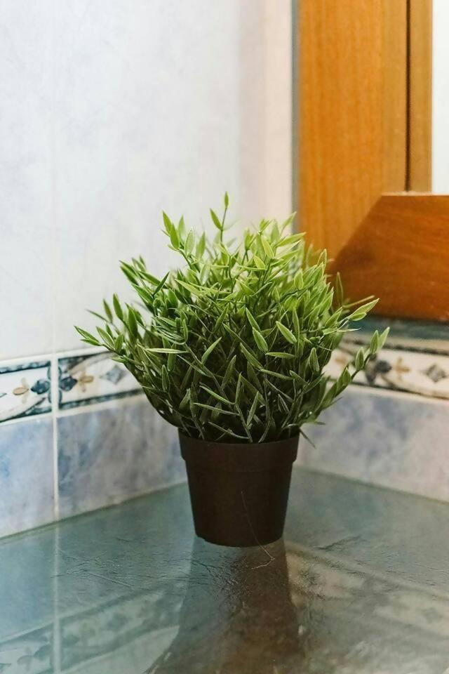 Casa Begona - Wifi Sencillo Y Acogedor Daire Sallent de Gállego Dış mekan fotoğraf